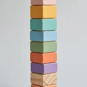 Wooden Building Blocks (100-Piece)